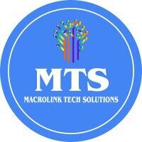Macrolink Tech Solutions Services Pvt Ltd